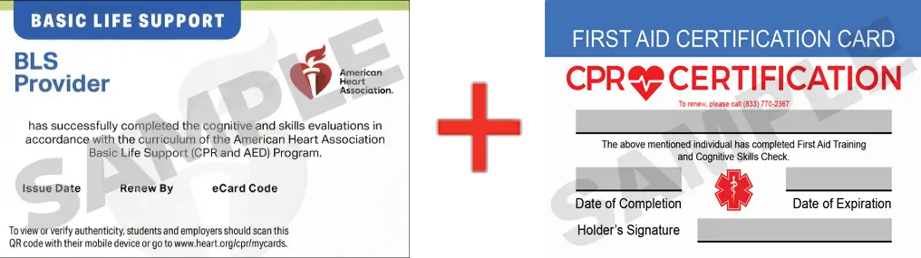 Sample American Heart Association AHA BLS CPR Card Certification and First Aid Certification Card from CPR Certification Miami